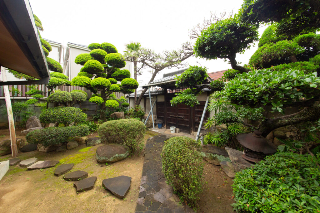 庭園植栽剪定